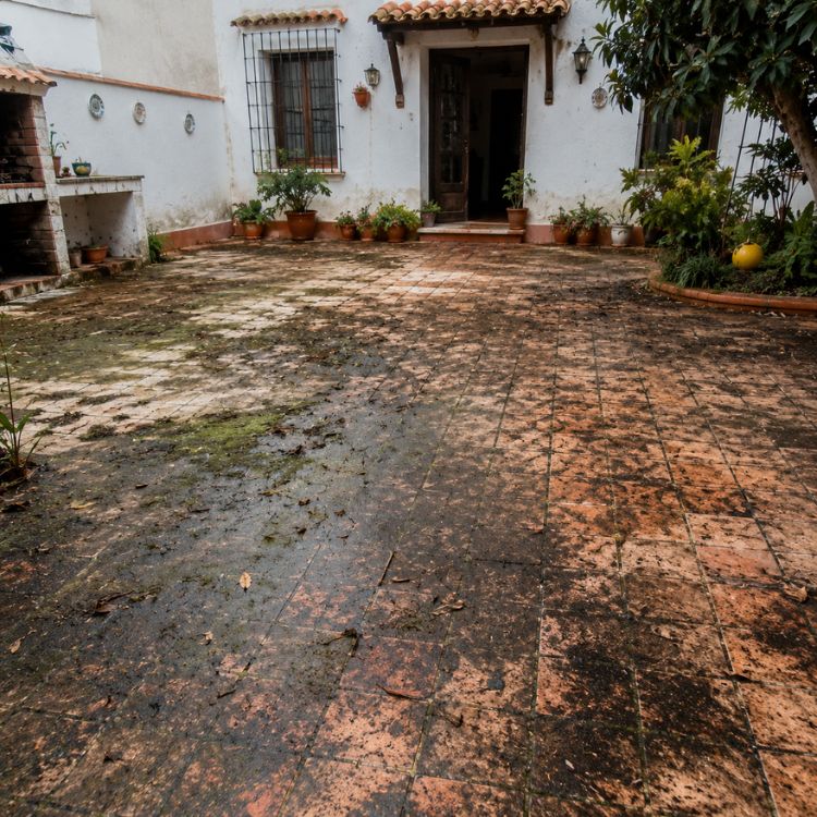 ANTES